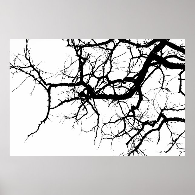 Baumzweige Poster (Vorne)