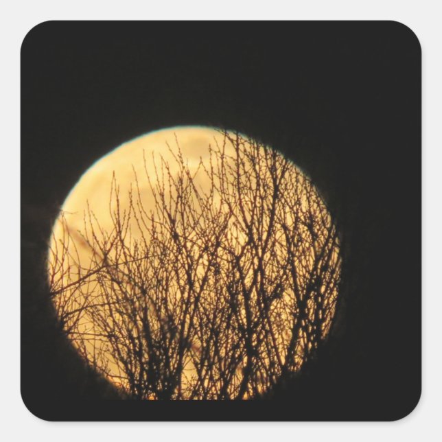 Baumzweige vor Spooky Halloween Moon Quadratischer Aufkleber (Vorderseite)