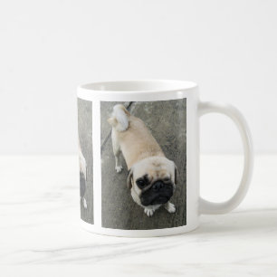 Bauwk ... Soi Dog, Thailand Kaffeetasse
