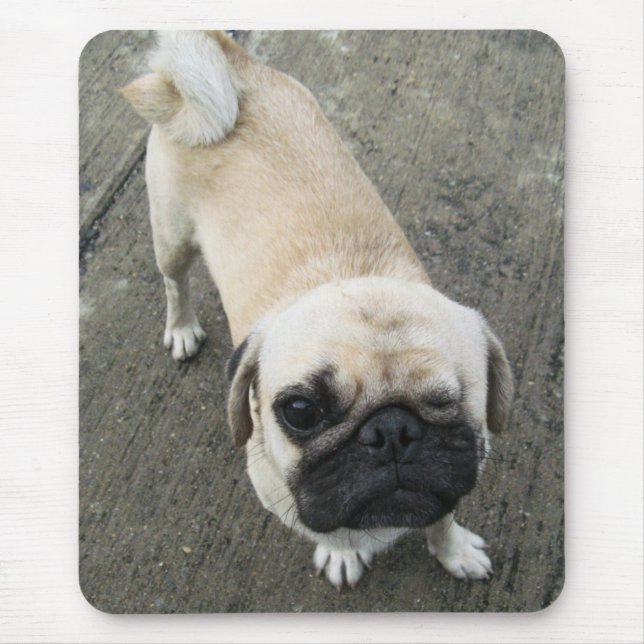 Bauwk… THAILÄNDISCHER MOPS-HUND Mousepad (Vorne)