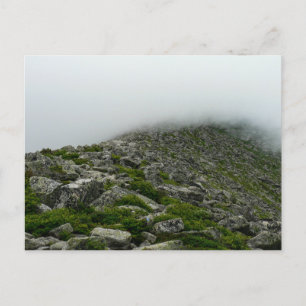 Baxter Staat Park mit Nebel, Maine Postkarte