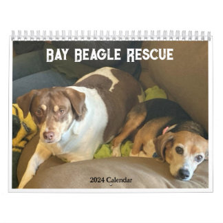 Bay Beagle Rescue 2024 Calendar Kalender