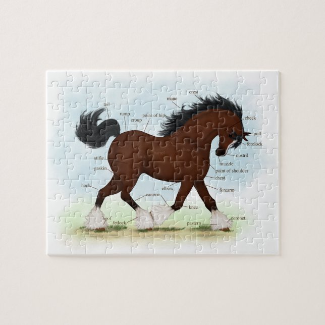 Bay Clydesdale Pferde Anatomische Übersicht Erzieh (Horizontal)