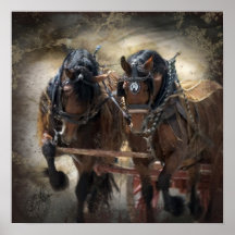 Bay Draft Team Digital Art Print