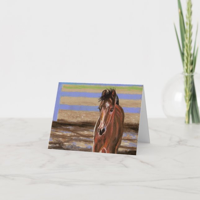 Bay Filly Karte (Vorderseite)