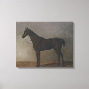 Bay Gelding Horse (von Albrecht Adam) Leinwanddruck