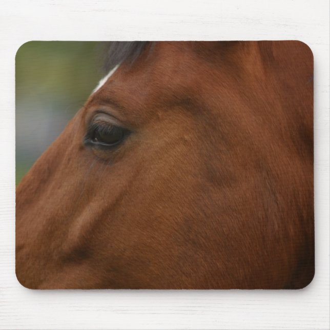 Bay Horse Closeup Mousepad (Vorne)