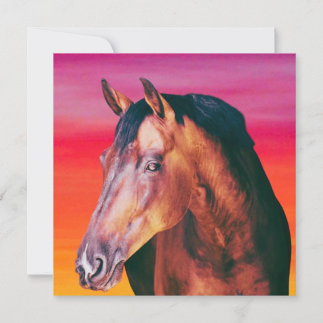 Bay Horse Farbverlauf    (Vorderseite)