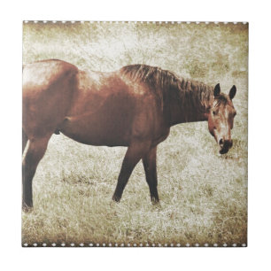 Bay Horse Fliese