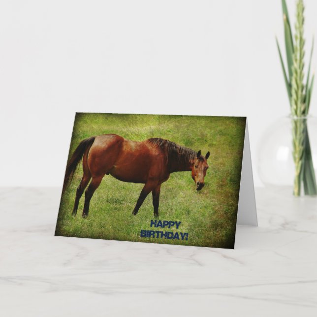Bay Horse, Geburtstag Karte (Vorderseite)