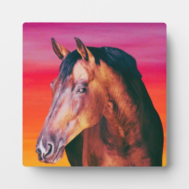 Bay Horse Gradient    Fotoplatte (Vorderseite)