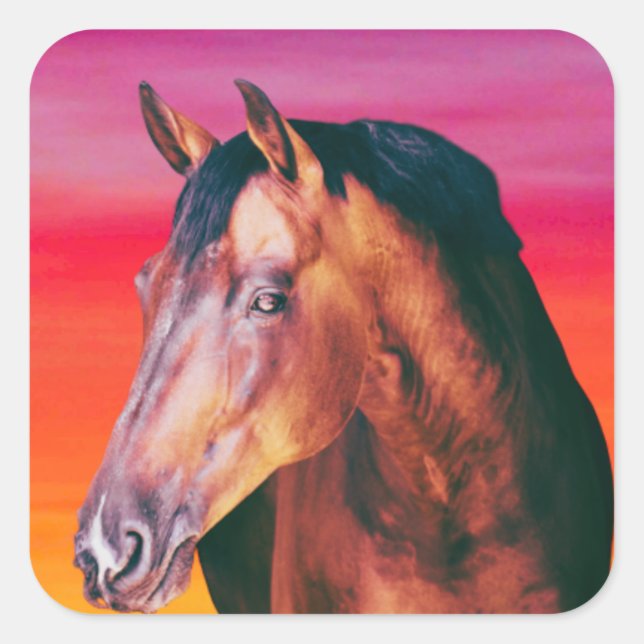 Bay Horse Gradient Quadratischer Aufkleber (Vorderseite)
