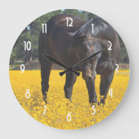 Bay Horse in a Field of Yellow Flowers