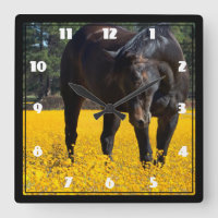 Bay Horse in a Field of Yellow Flowers