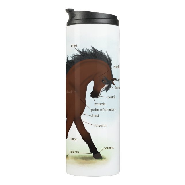 Bay Horse mit Blaze Educational Anatomic Chart Thermosbecher (Nach rechts gedreht)