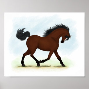 Bay Horse mit Blaze Reittier Poster