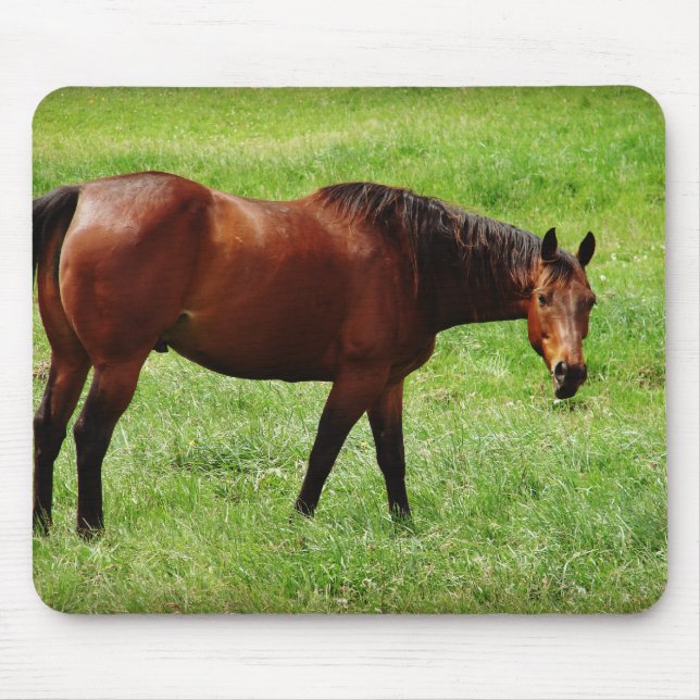 Bay Horse Mousepad (Vorne)