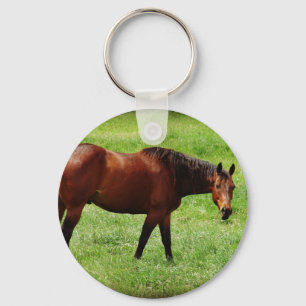 Bay Horse Schlüsselanhänger