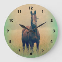 Bay Horse Standing in a Field
