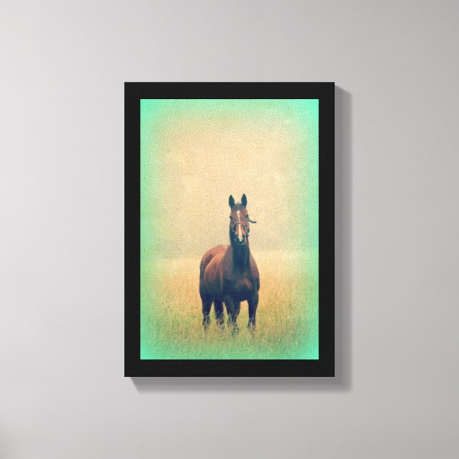 Bay Horse Stehend in einem Feld Leinwanddruck (Vorderseite)