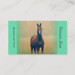 Bay Horse Stehend in einem Feld Visitenkarte