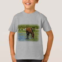 Bay Horse