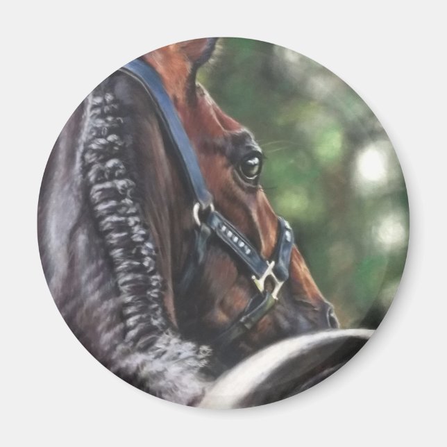 Bay Horse Thoroughbred Warmblut Dressage Jumper Magnet (Vorne)