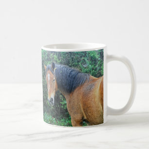 Bay New Forest Pony, Hampshire, England Kaffeetasse
