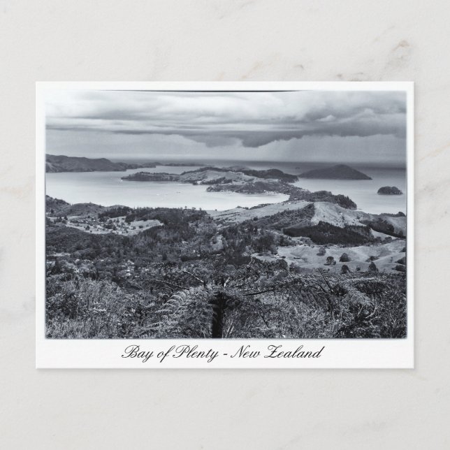 Bay of Plenty, Neuseeland Postkarte (Vorderseite)