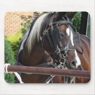 Bay Pinto Amish Buggy Horse Mousepad