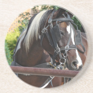 Bay Pinto Amish Buggy Horse Sandstein Untersetzer