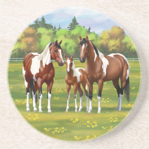 Bay Pinto Paint Quarter Pferde im Sommer Weide Getränkeuntersetzer
