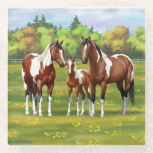 Bay Pinto Paint Quarter Pferde im Sommer Weide Glasuntersetzer