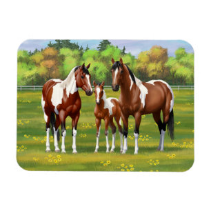 Bay Pinto Paint Quarter Pferde im Sommer Weide Magnet