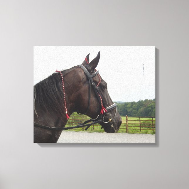 Bay Walker Mare Leinwanddruck (Vorderseite)