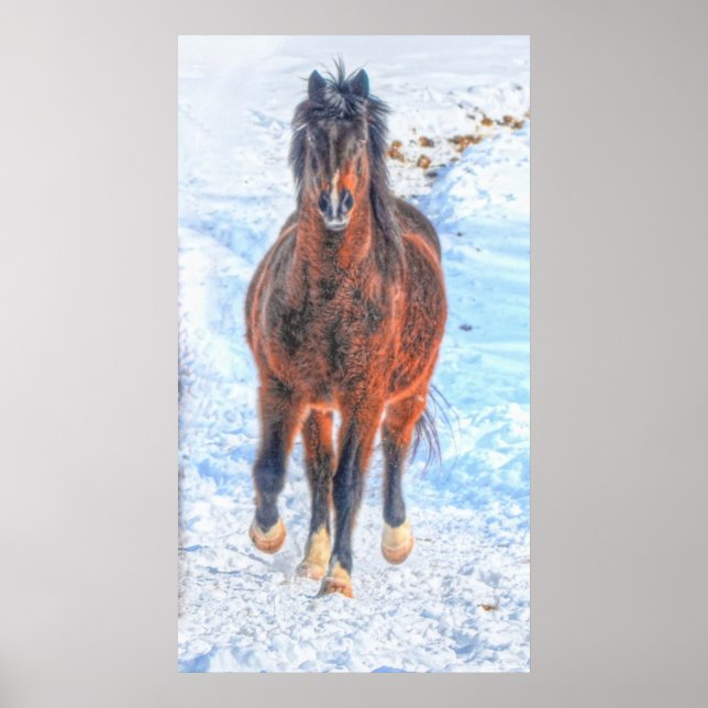 Bay Winterpferd "Jahr des Pferdes" Pferdefleisch F Poster (Vorne)