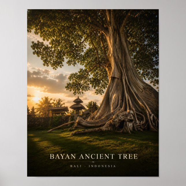 Bayan-Urwaldbaum Bali Poster (Vorne)