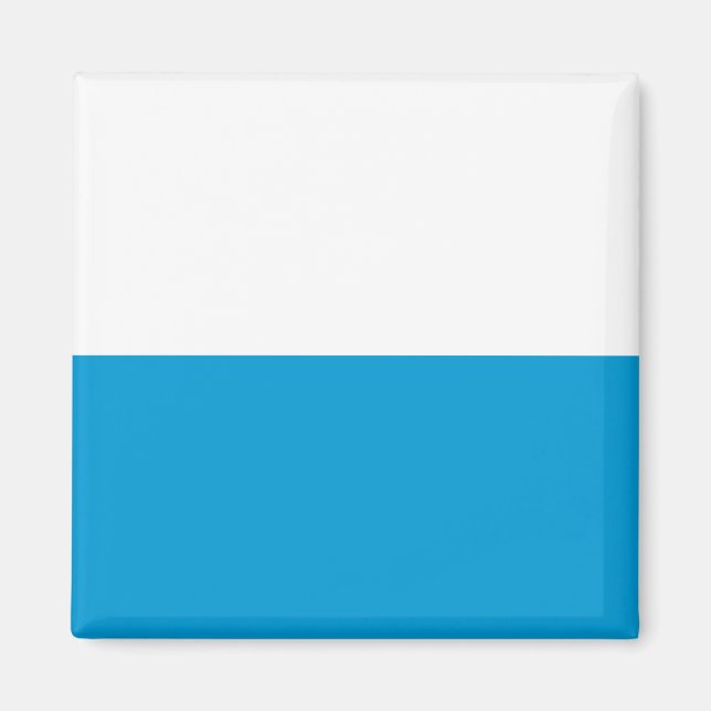 Bayerische Flagge Magnet (Vorne)