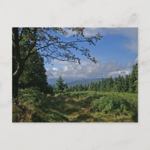 Bayerische Forstkarte Postkarte