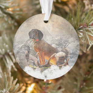 Bayerisches Berghaus, Kunst Ornament