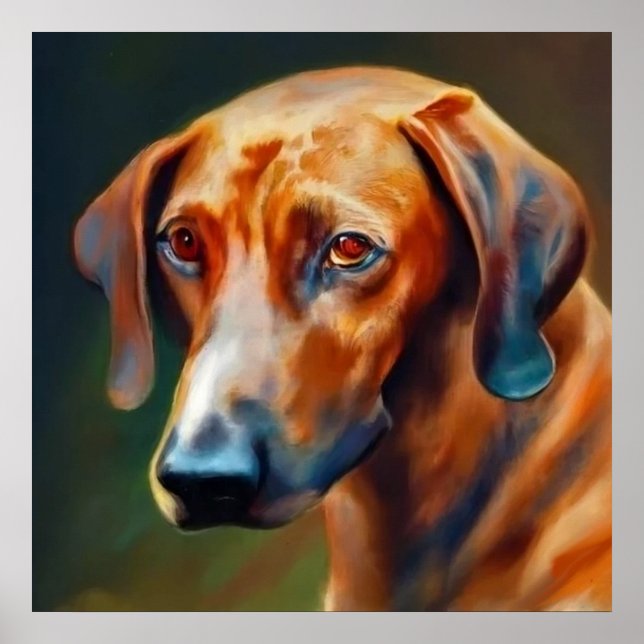 Bayerisches Berghund - Hundportrait Poster (Vorne)