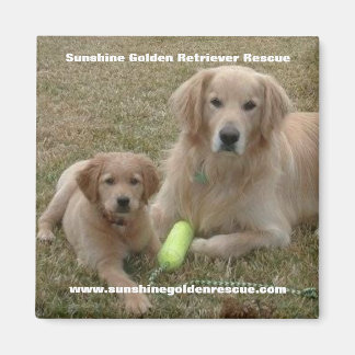 Bayou Magnet - Sunshine Golden Retriever Rescue..
