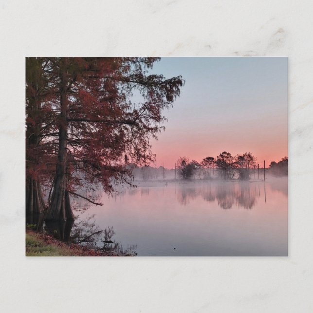 Bayou sunrise postkarte (Vorderseite)