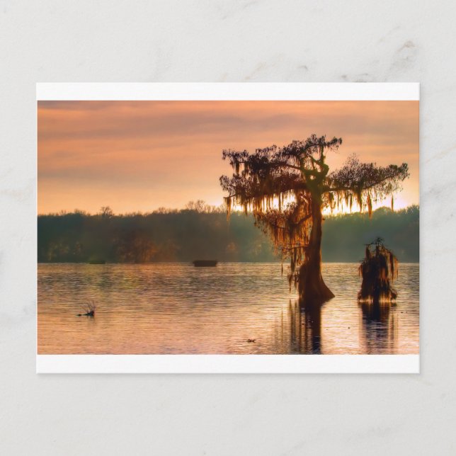Bayou Sunset 5769 Postkarte (Vorderseite)