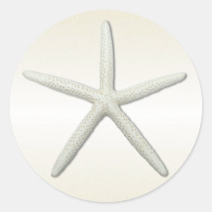 Bayside Single Starfish Champagne Runder Aufkleber