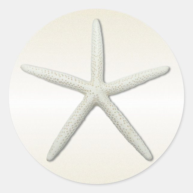 Bayside Single Starfish Champagne Runder Aufkleber (Vorderseite)