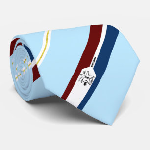Baytown (Texas) Stadtflagge Neck Tie Krawatte