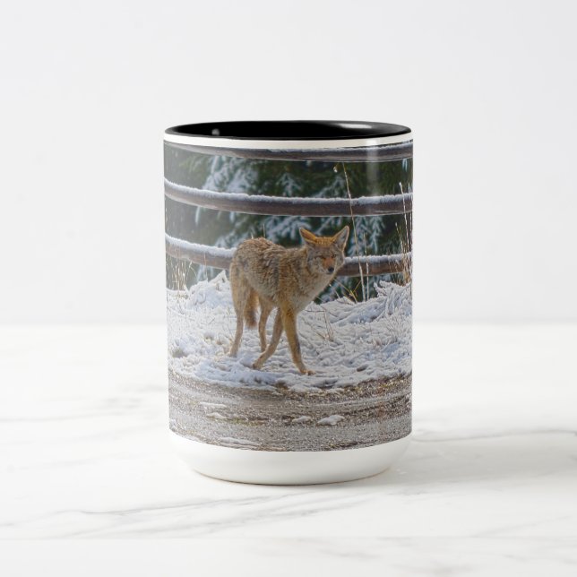 BC Coyote Wildlife Nature Coffee Mug (Centre)