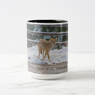 BC Coyote Wildlife Nature Coffee Tasse