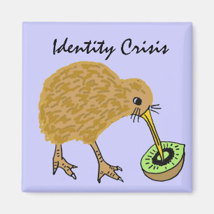 BC- lustiger Kiwi Vogel und Frucht-Magnet Magnet